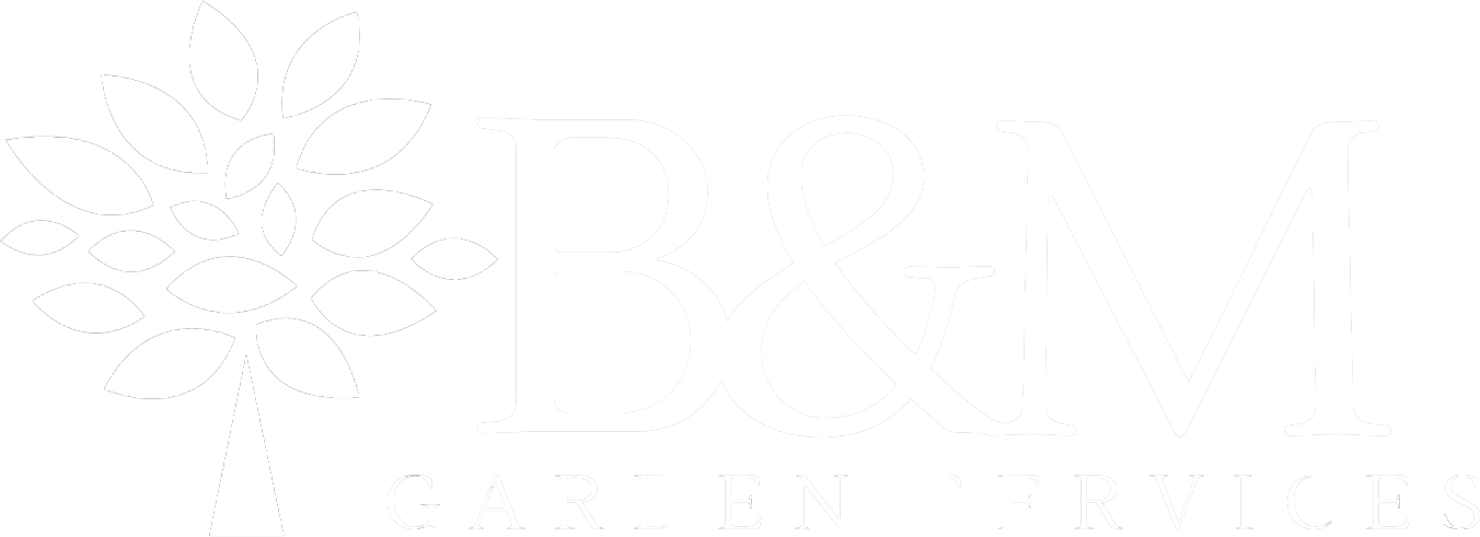 BM-white